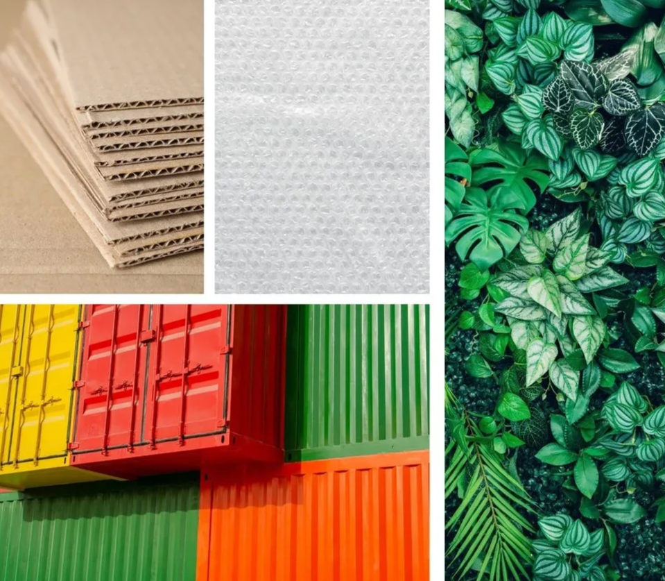Collage of four images: 1. cardboard boxes stacked on a beige surface, 2. white bubble wrap, 3. dense green plants with patterned leaves, 4. stacked shipping containers in yellow, red, green, and orange.