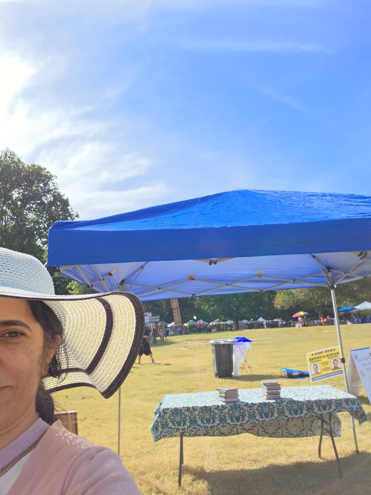 Candler Park Festival