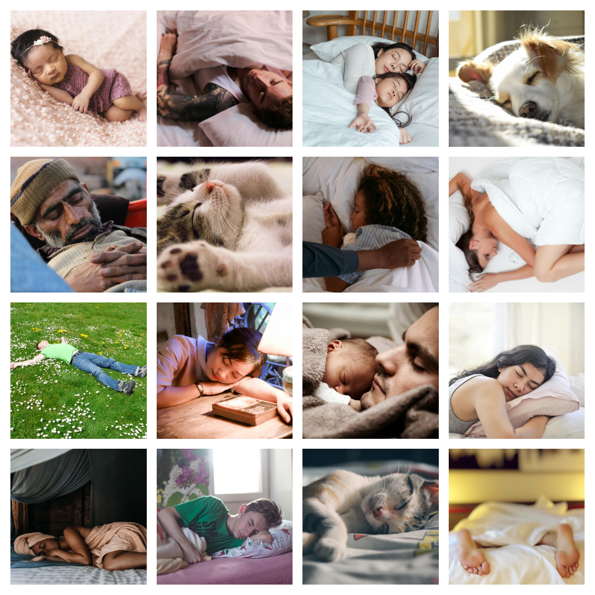A collage of various people and animals sleeping in different settings, including children, adults, a cat, and a dog.
