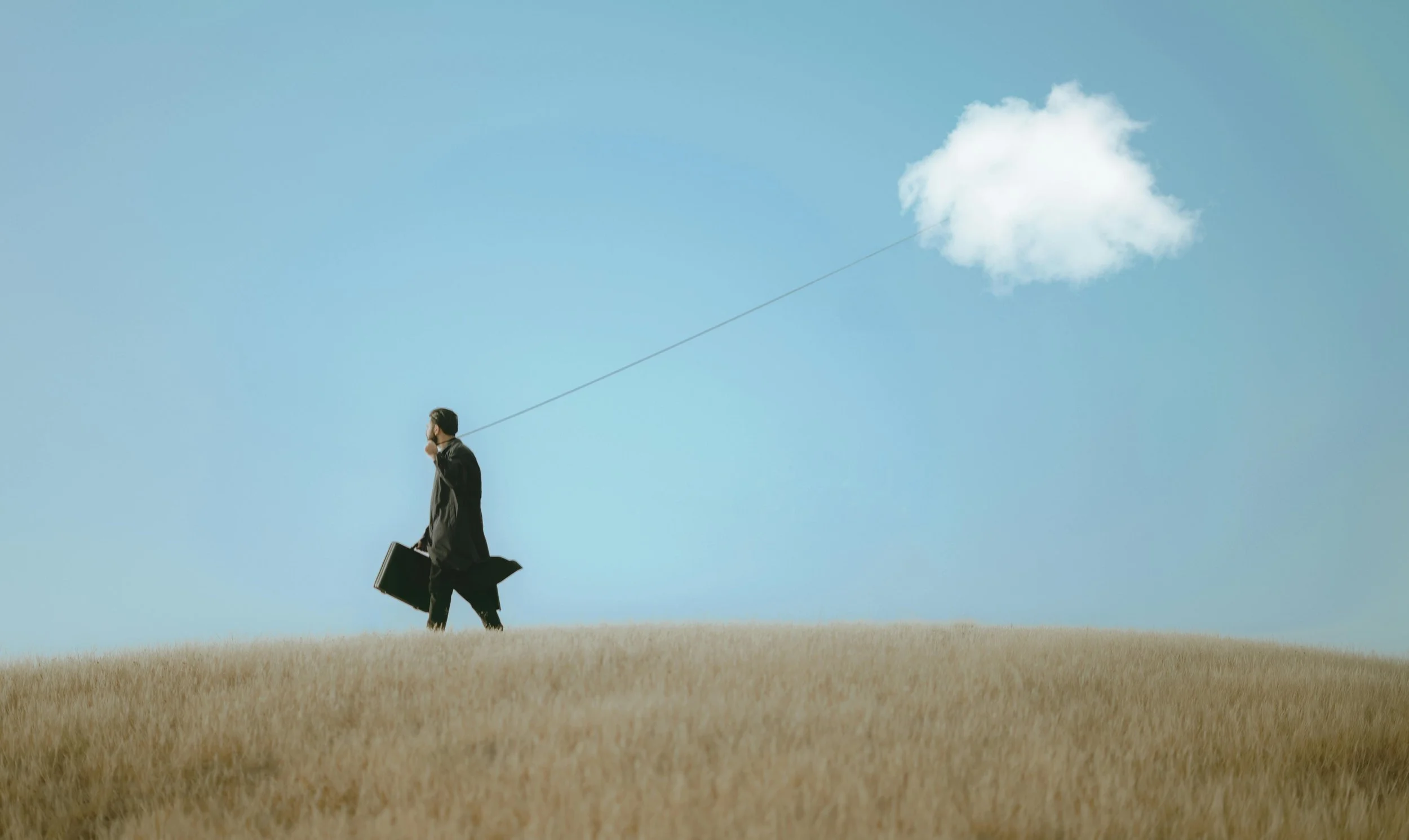 A man in a suit carrying a briefcase and an umbrella walking across a field of tall grass with a blue sky and a cloud in the background.