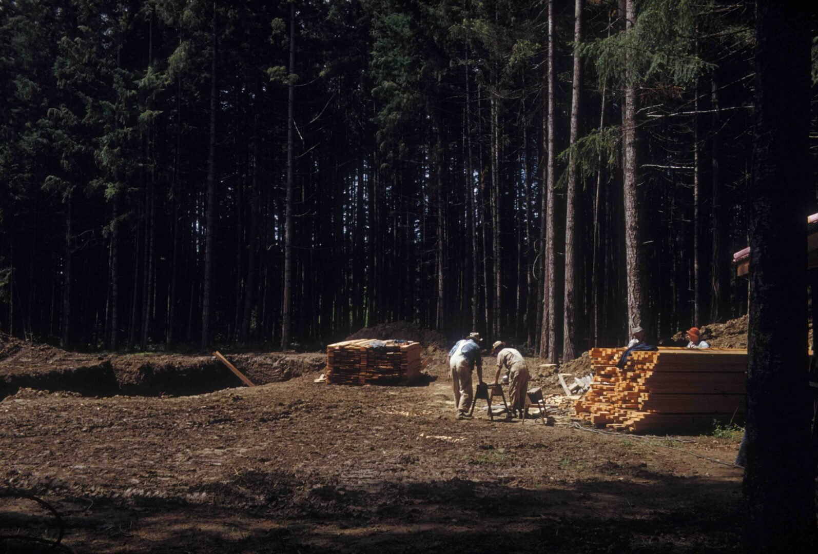 Two pallets of fresh 2x4s are stacked in the clearing for the house, and two people set up sawhorses to start cutting lengths.
