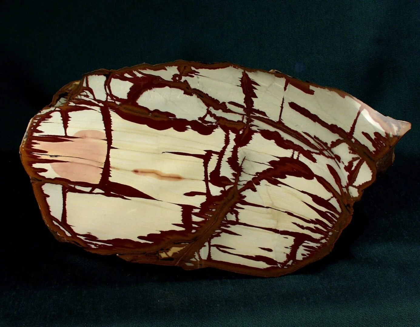 Polished jasper slab with a cream-colored base crossed by dark red-brown veins.