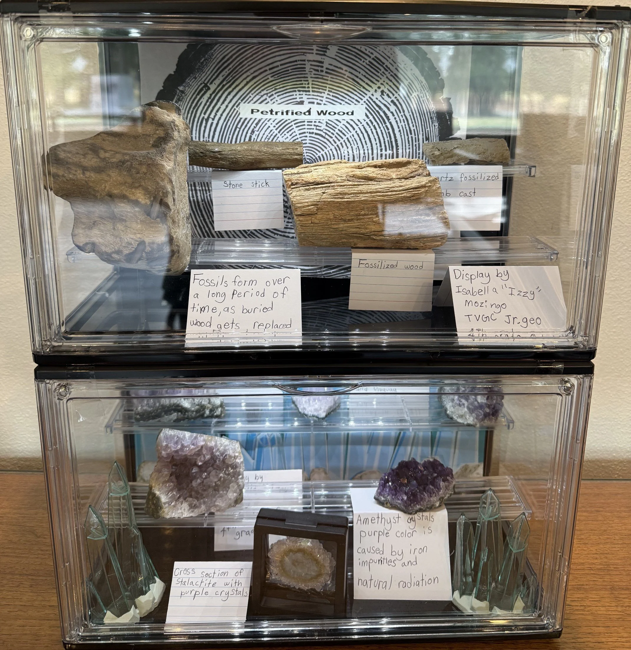 Display case of petrified wood on top, amethyst on the bottom.