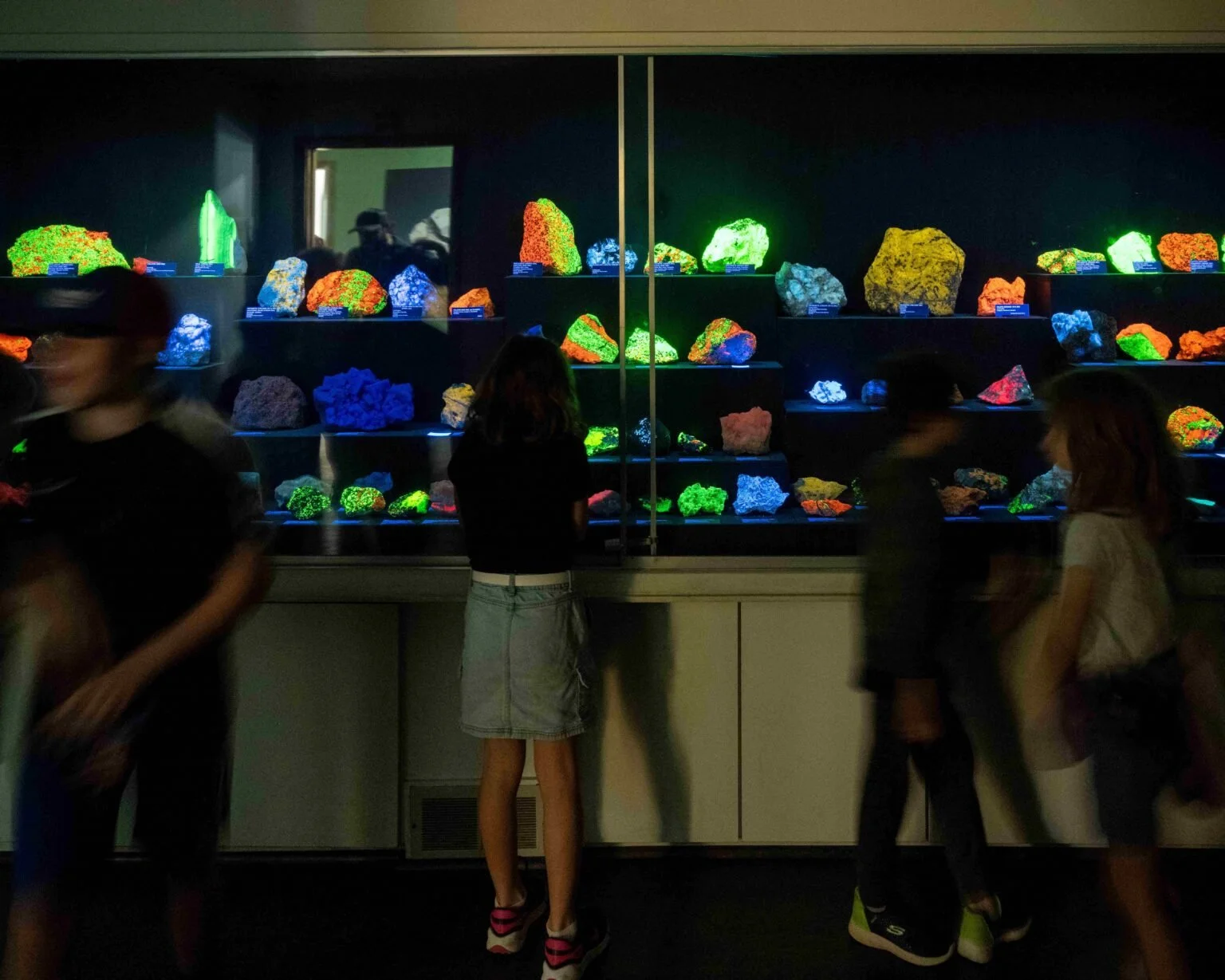 Students take an unguided tour through the Rice Museum and see rocks glowing under ultraviolet light