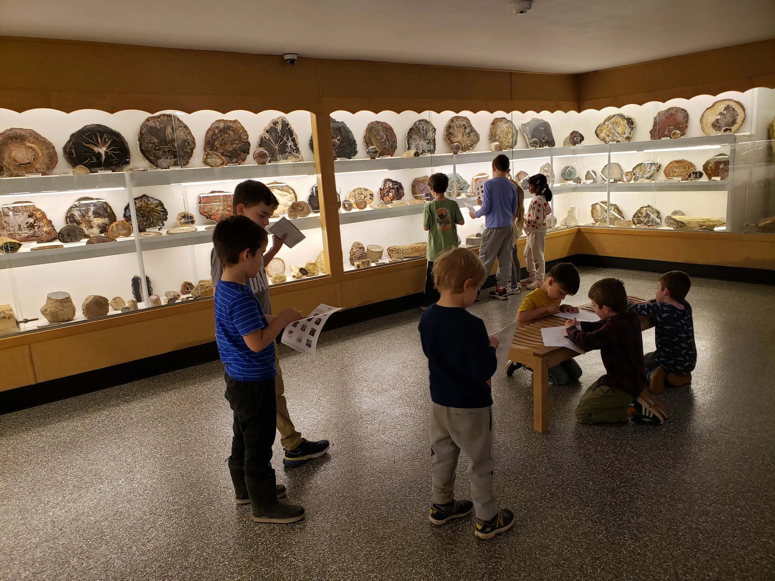 A group of children exploring the Murphy Gallery of Petrified Wood.