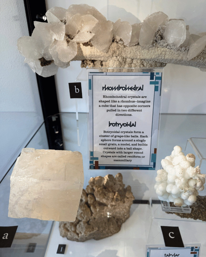 Display of calcite crystal specimens showing different crystal forms, including blocky rhombohedral crystals and rounded, grape-like clusters, arranged in a museum case.