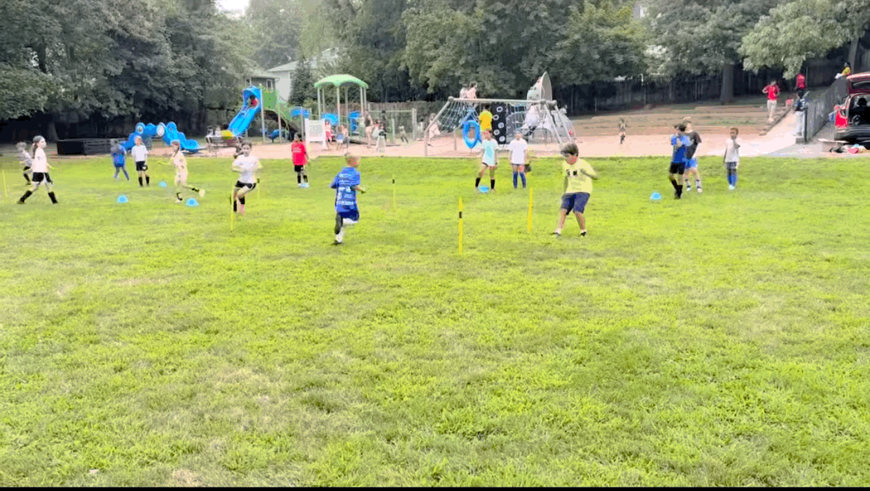 Large Group Training