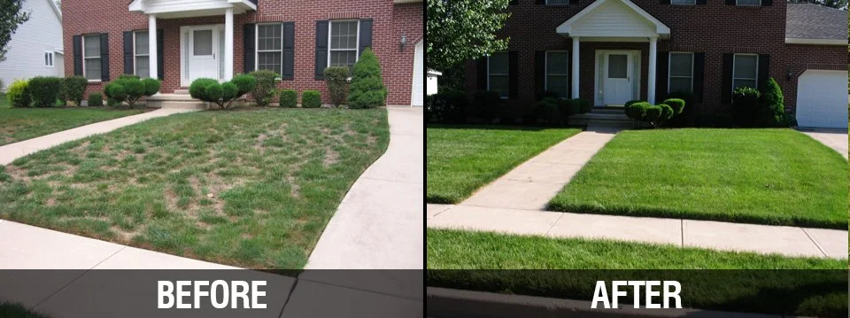 before-after3.jpg
