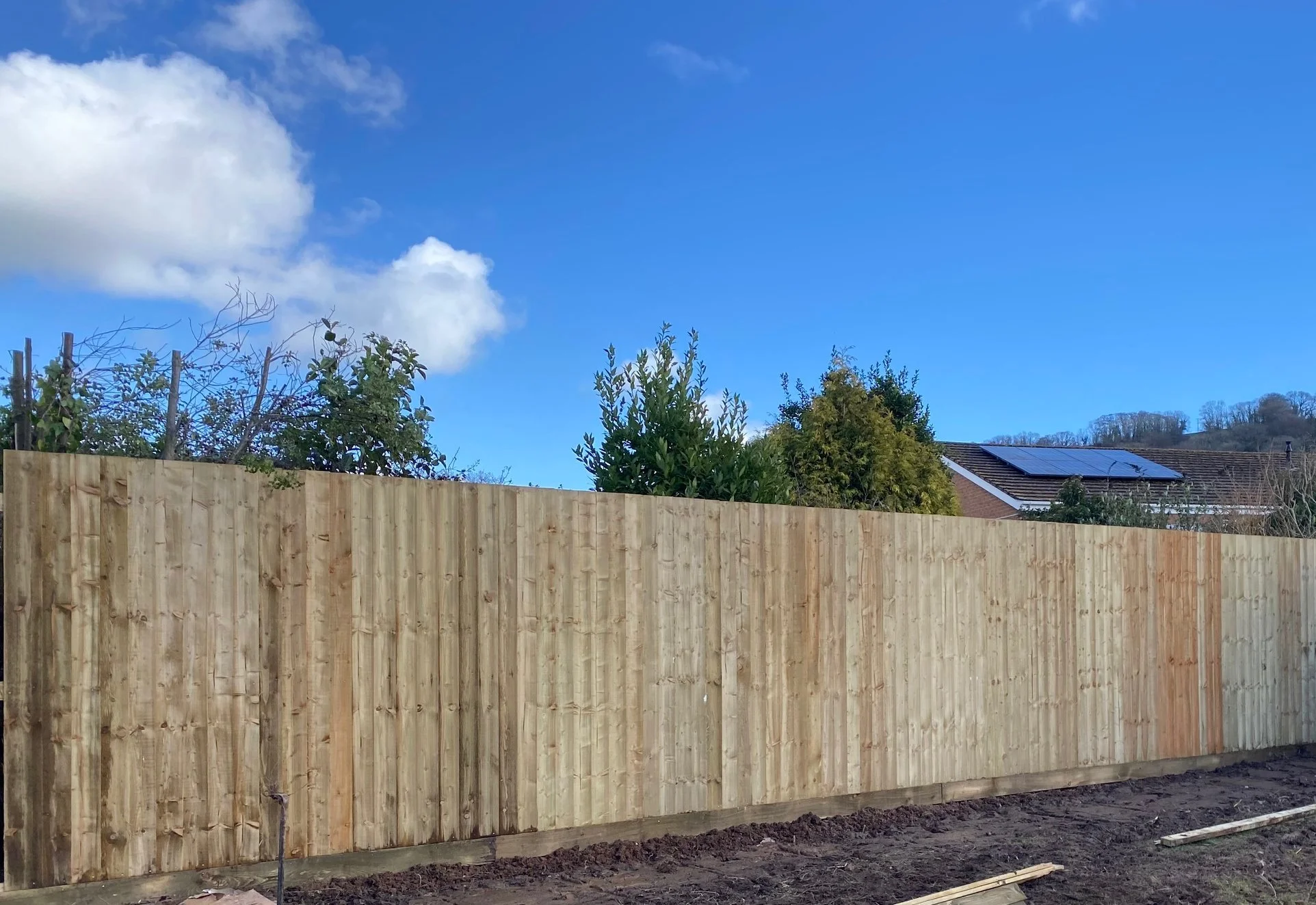 Newly built wooden privacy fence in a backyard with trees and houses in the background under a bright blue sky.