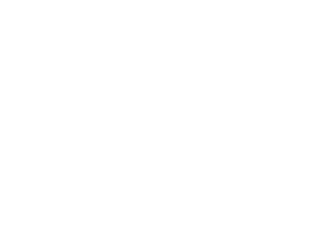 Salesbotix 
