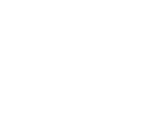 SalesBotix