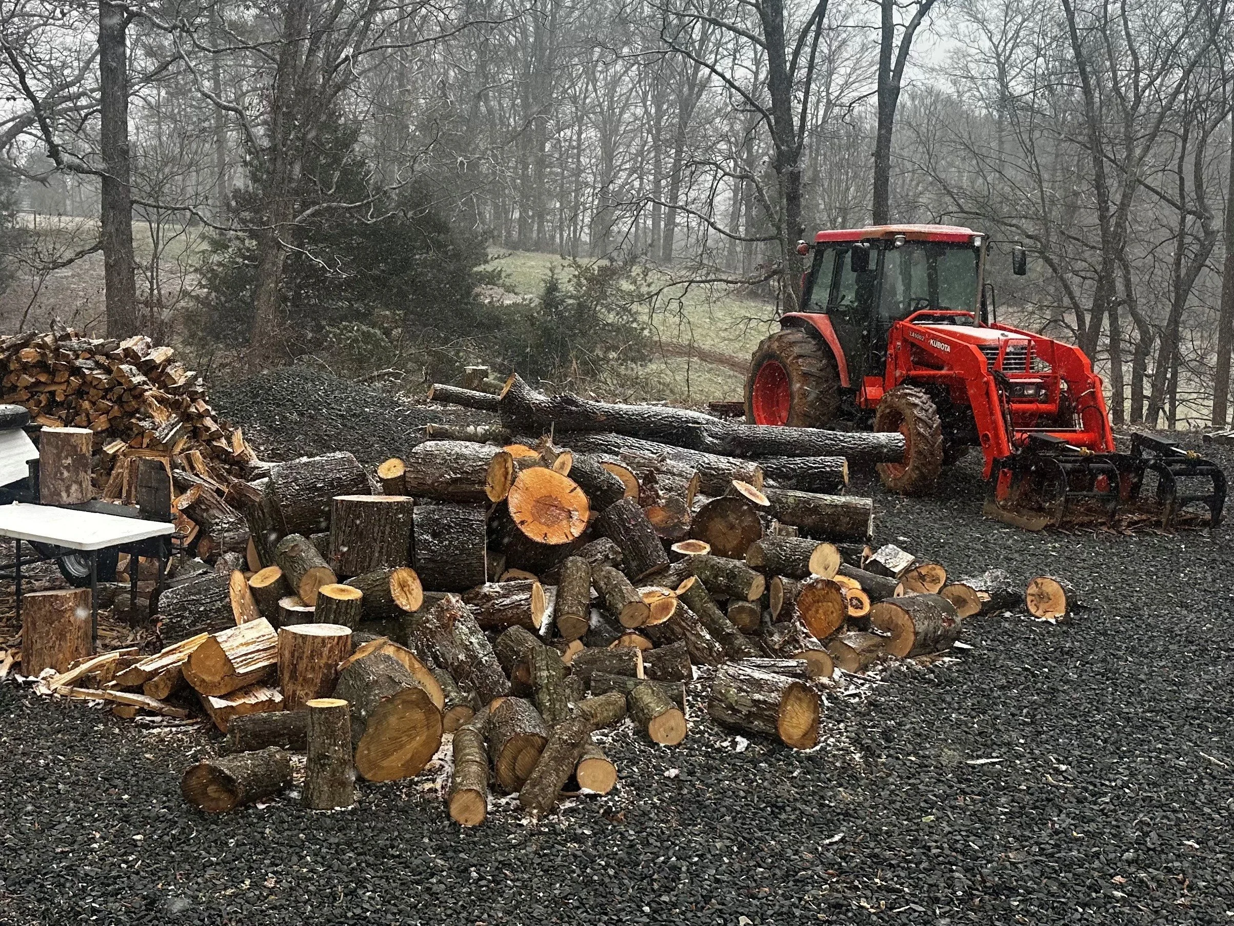 A red tractor parked on gravel ground near a large pile of cut firewood logs in a wooded area.