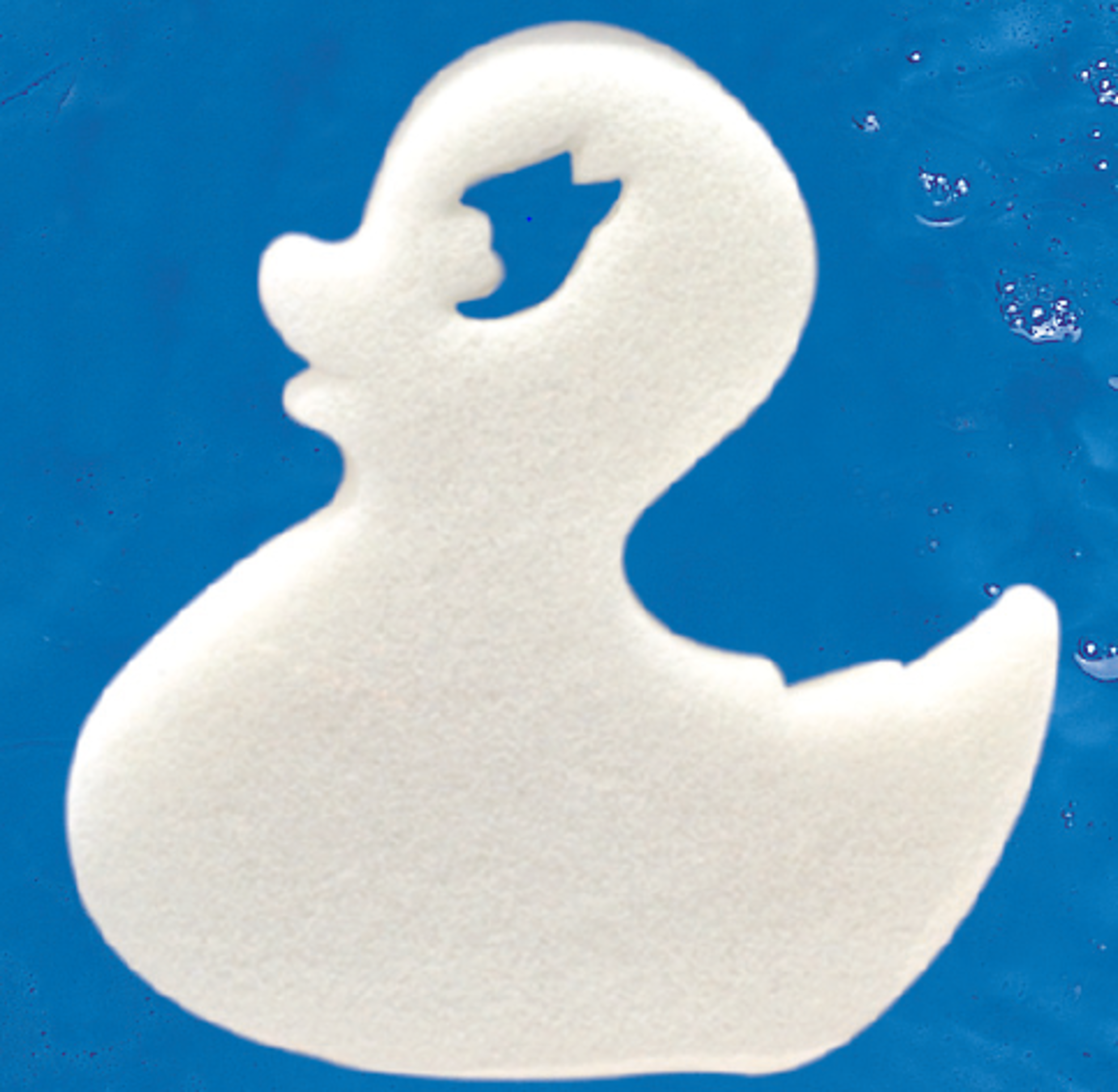 Duck  - Ball Scum Sponge