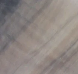 A blurry image of a wooden floor with no distinguishable objects.