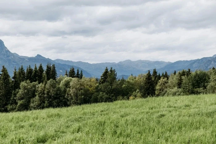 Low green mountains.