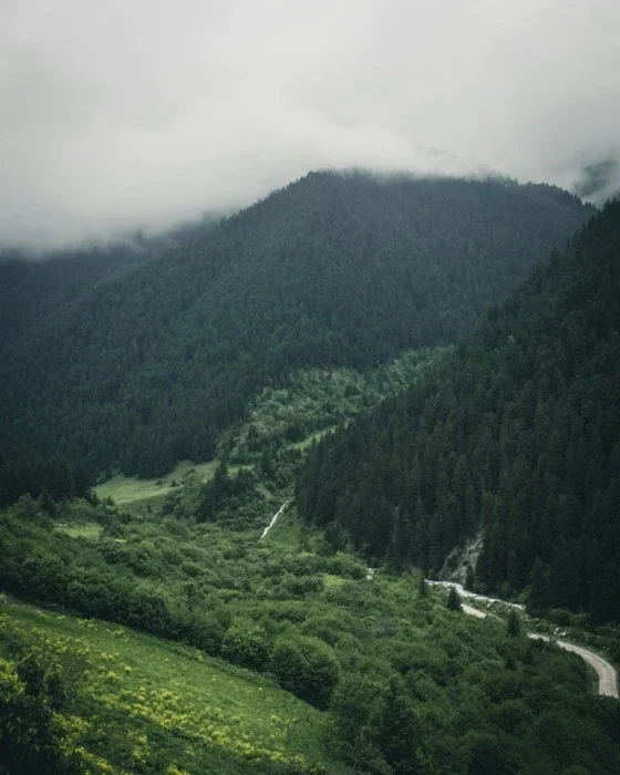 Dark, lush, green mountains entering clouds.