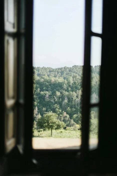 An open window overlooking many trees.