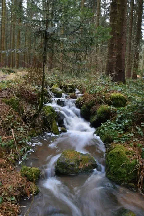 A stream in the forest over rocks.