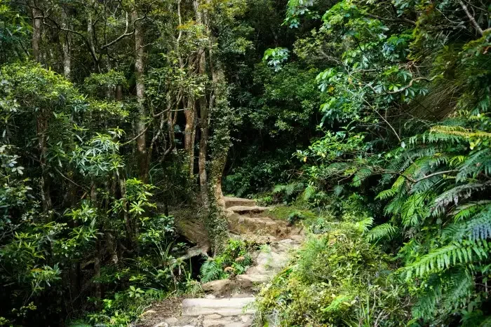 When One Area of Life Starts to Break Everything Else