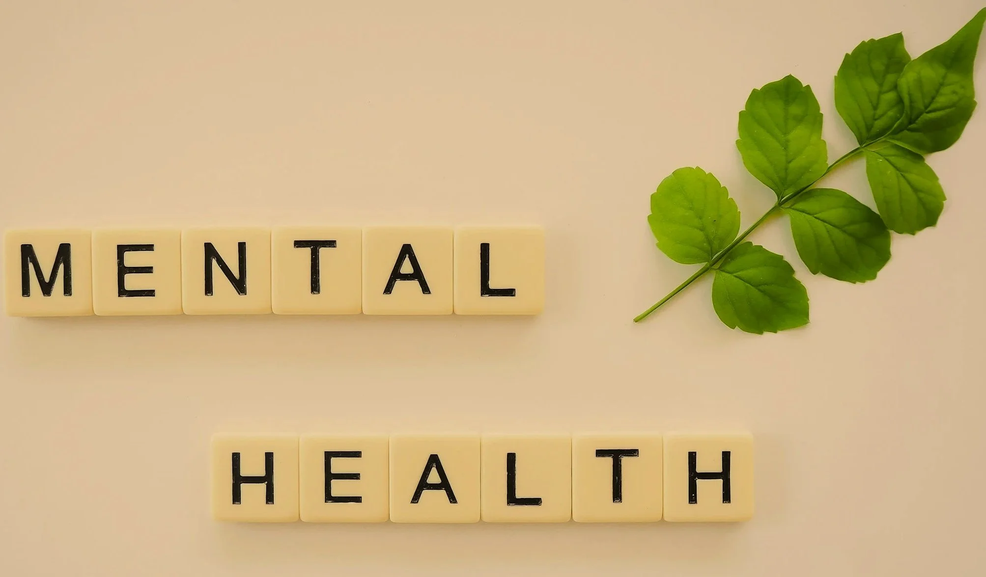Scrabble tiles spell out 'MENTAL HEALTH' next to a green leafy branch on a light background.