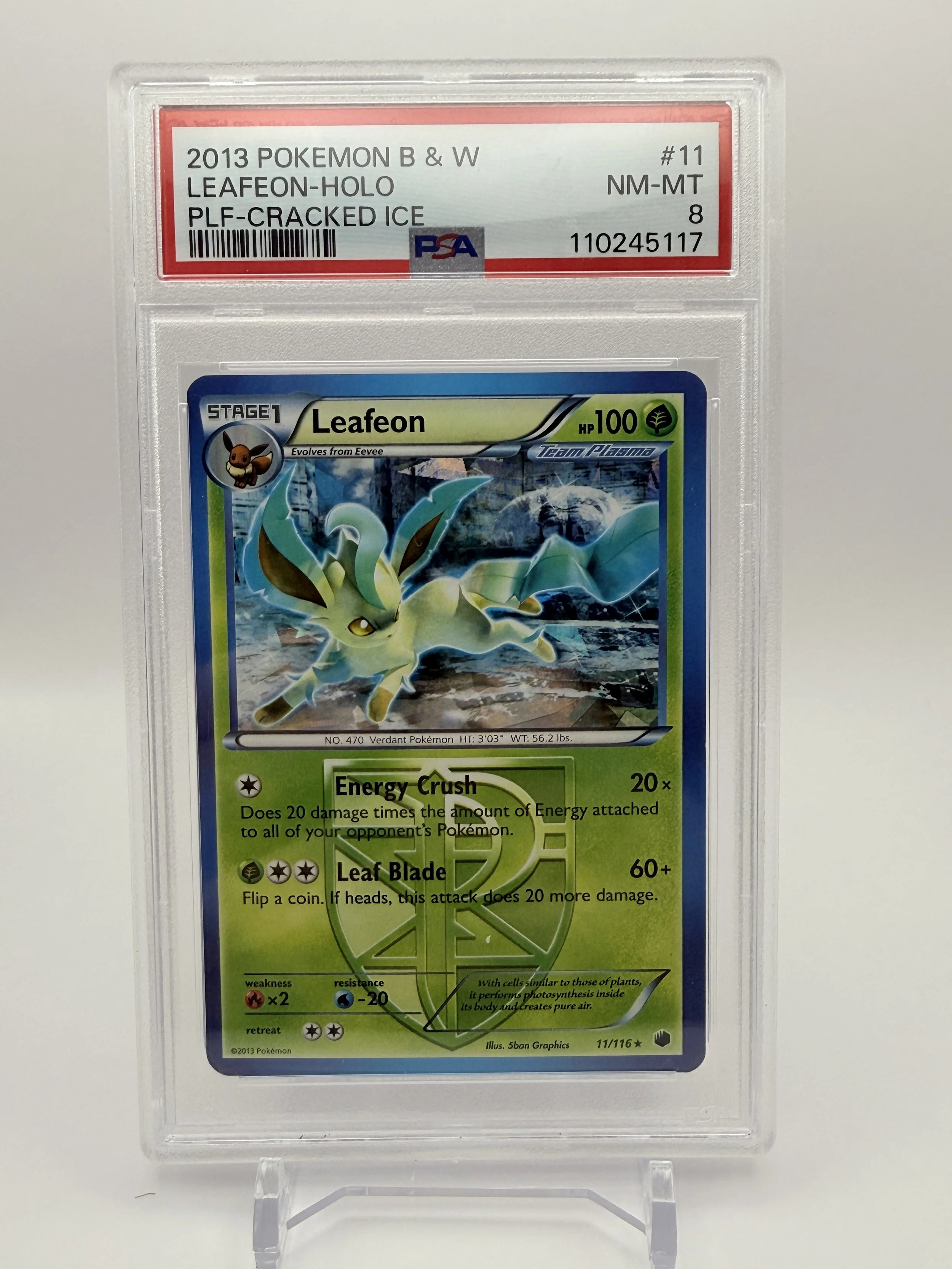 2013 Pokémon B&W Leafeon Holo PSA 8
