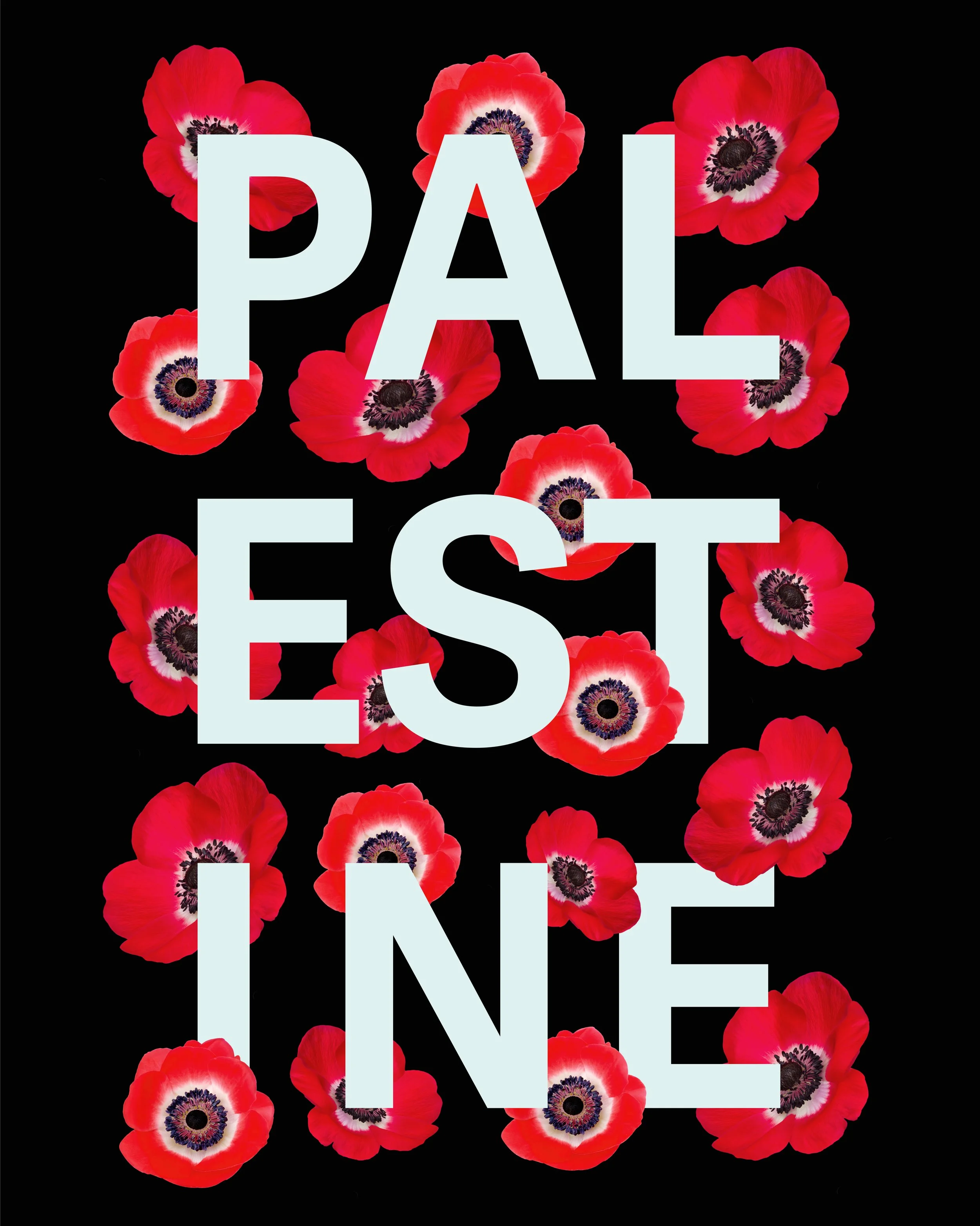 Anemones of the Land