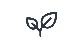 Simple line drawing of a two-leaf plant