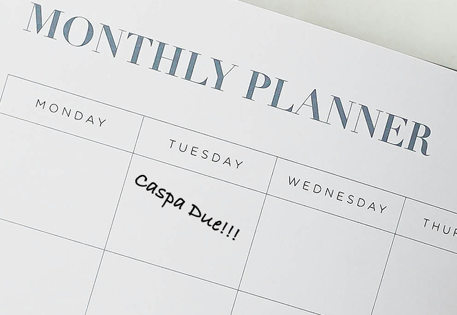 Monthly planner with a handwritten note on Tuesday that says 'Caspa Due!!!'