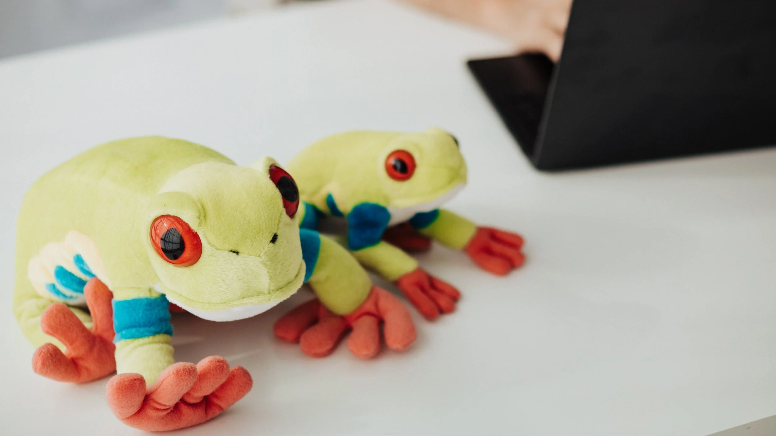 Two green plush frogs with red eyes, blue patches, and orange feet sitting on a white surface with a black object in the background.