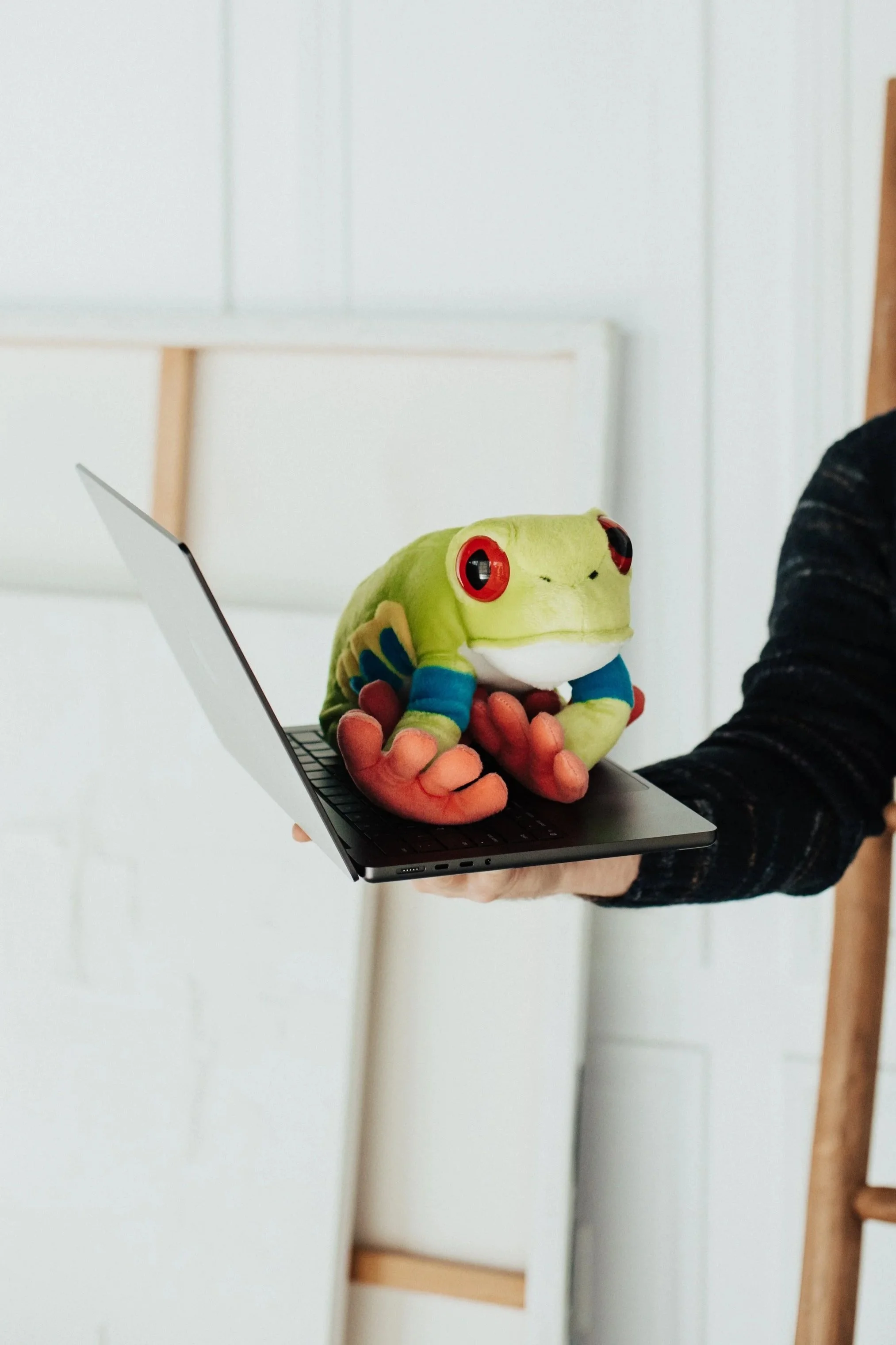 A hand holding a laptop with a green plush frog toy sitting on top of it.