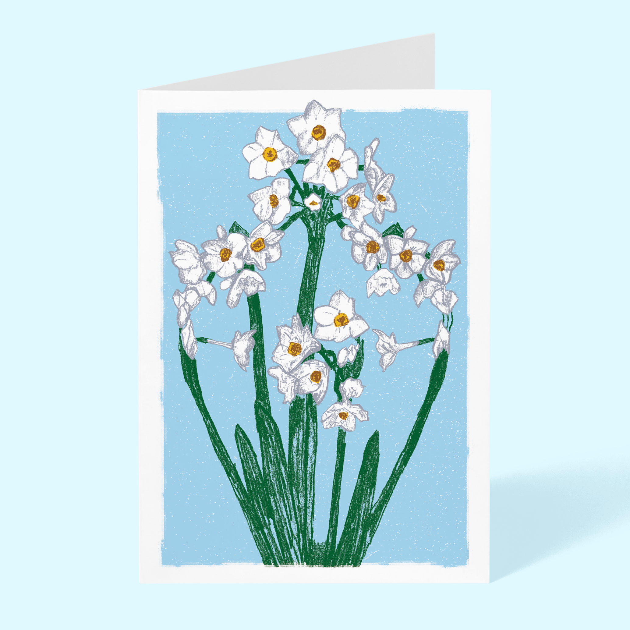 Paper Whites 5"x"7 Blank Greeting Card