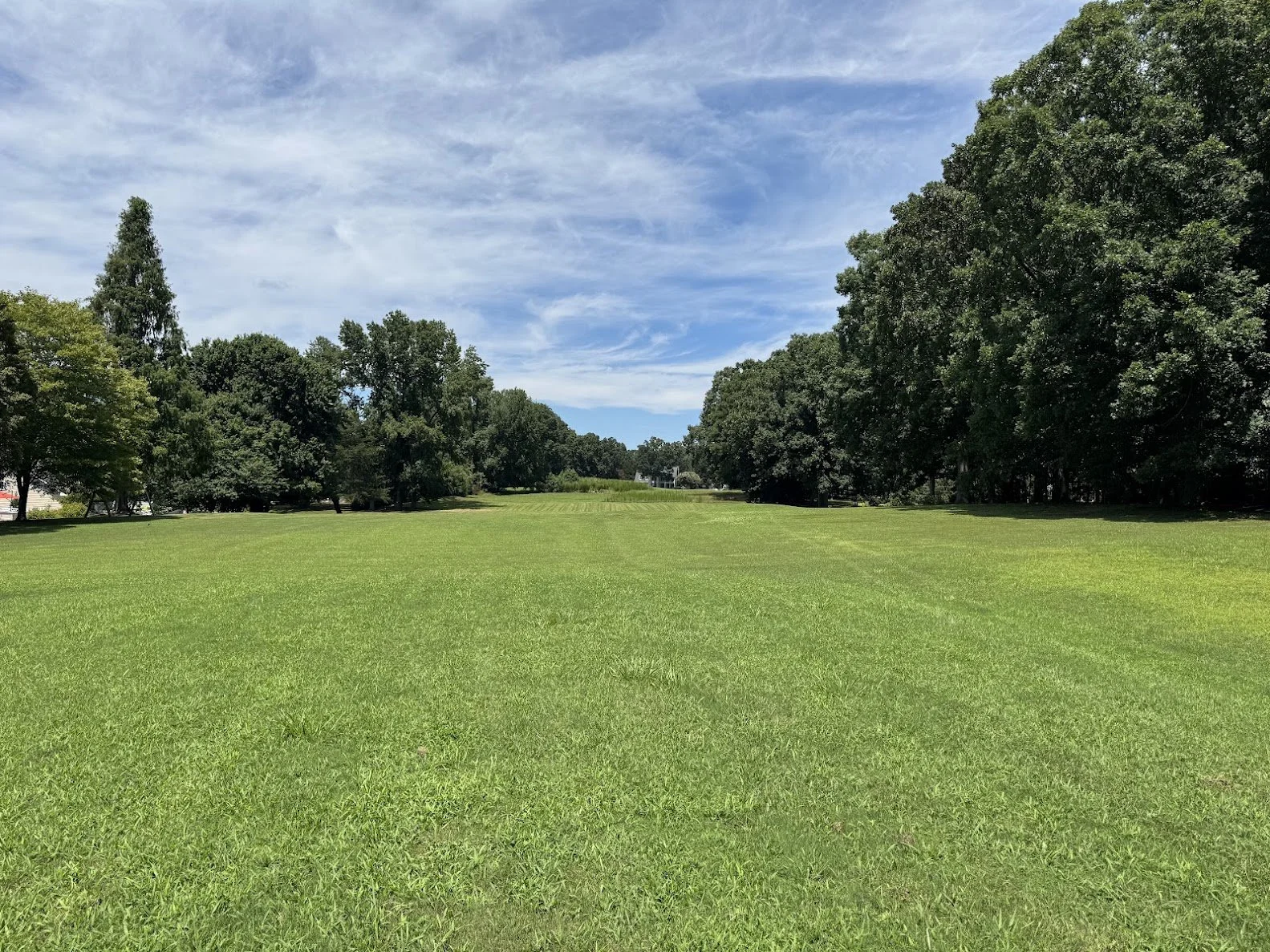 Leadership Strategy Coaching™ (Monthly)