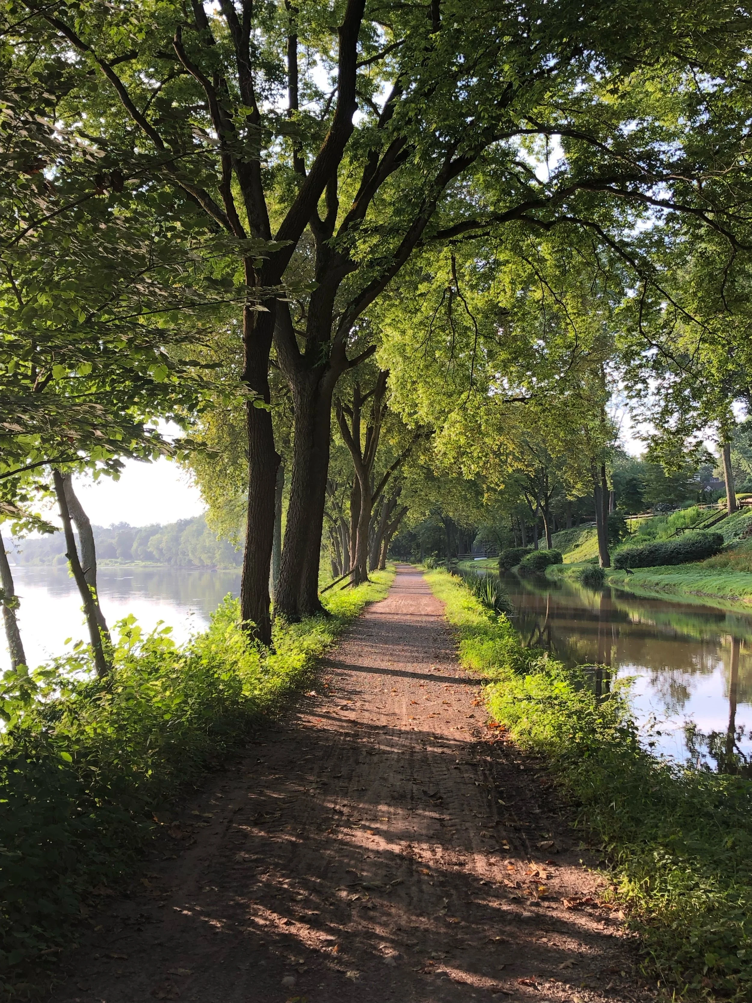 A peaceful dirt walking trail running alongside a river, lined with tall leafy green trees providing shade, in a natural park setting during daytime.
