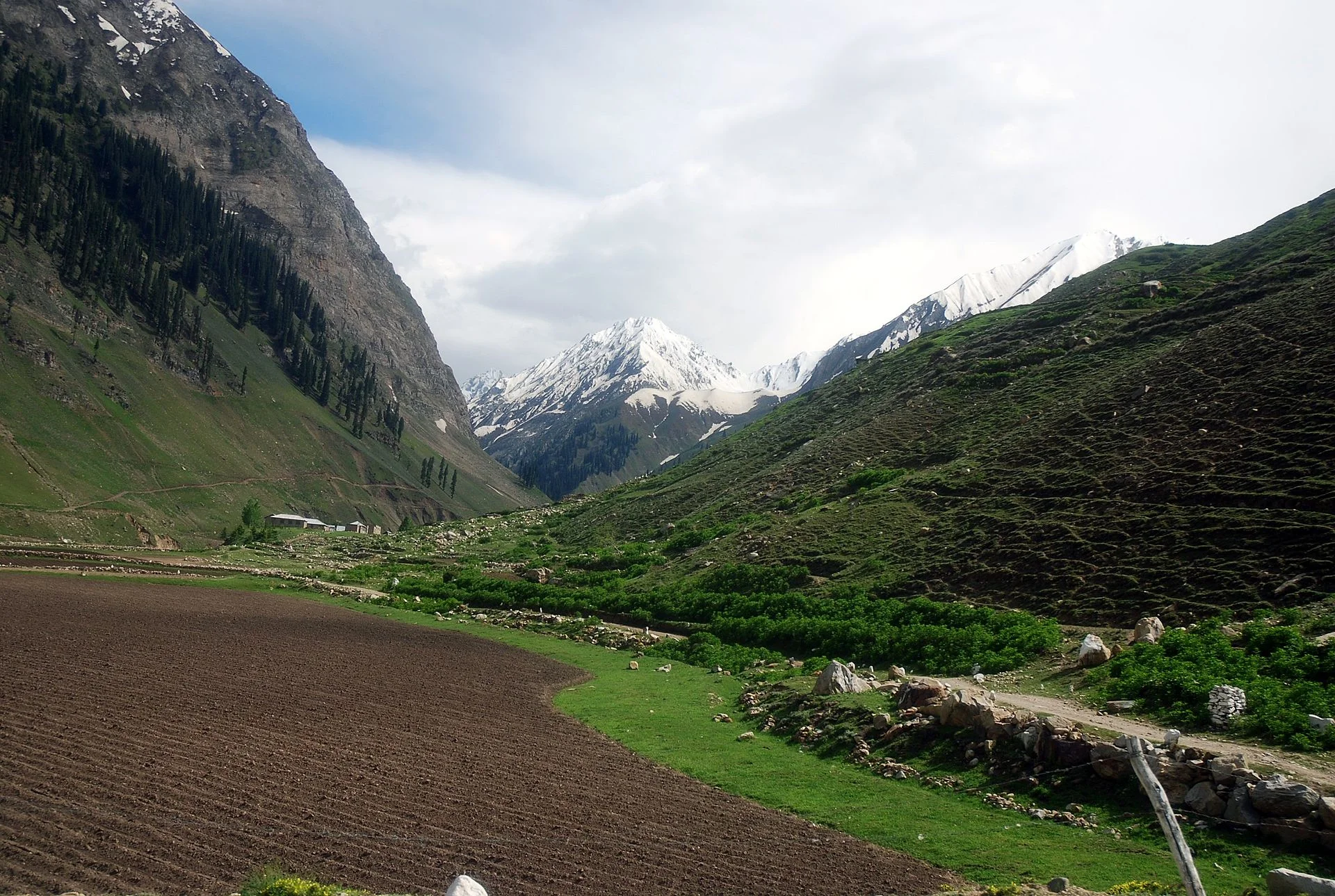 Source: Wikimedia Commons