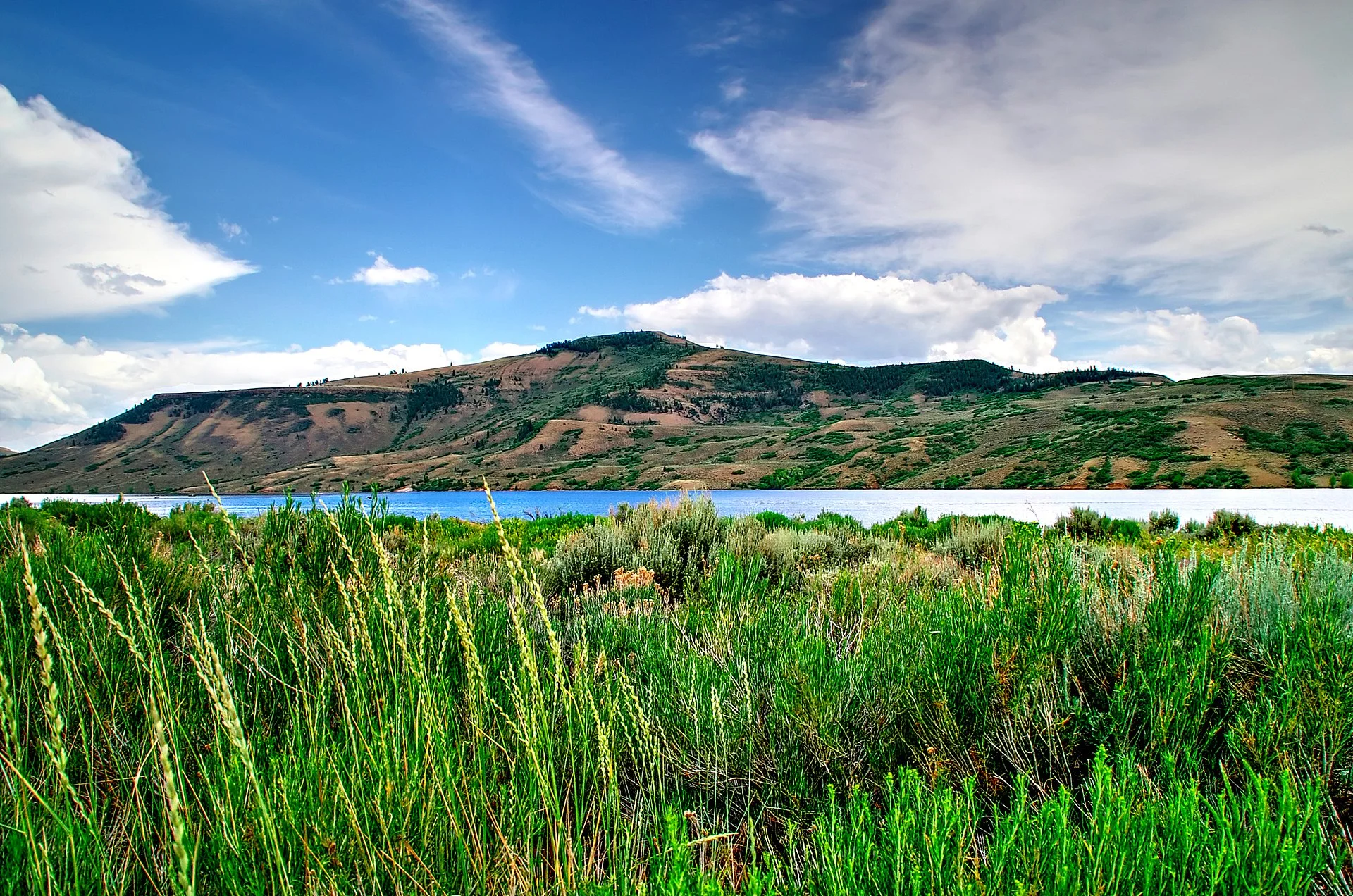 Source: Wikimedia Commons