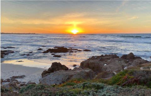 Photo by Compass Natural