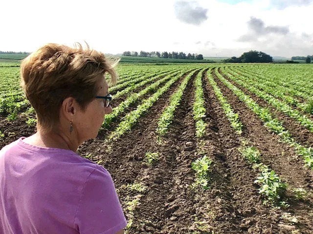 Photo by Compass Natural