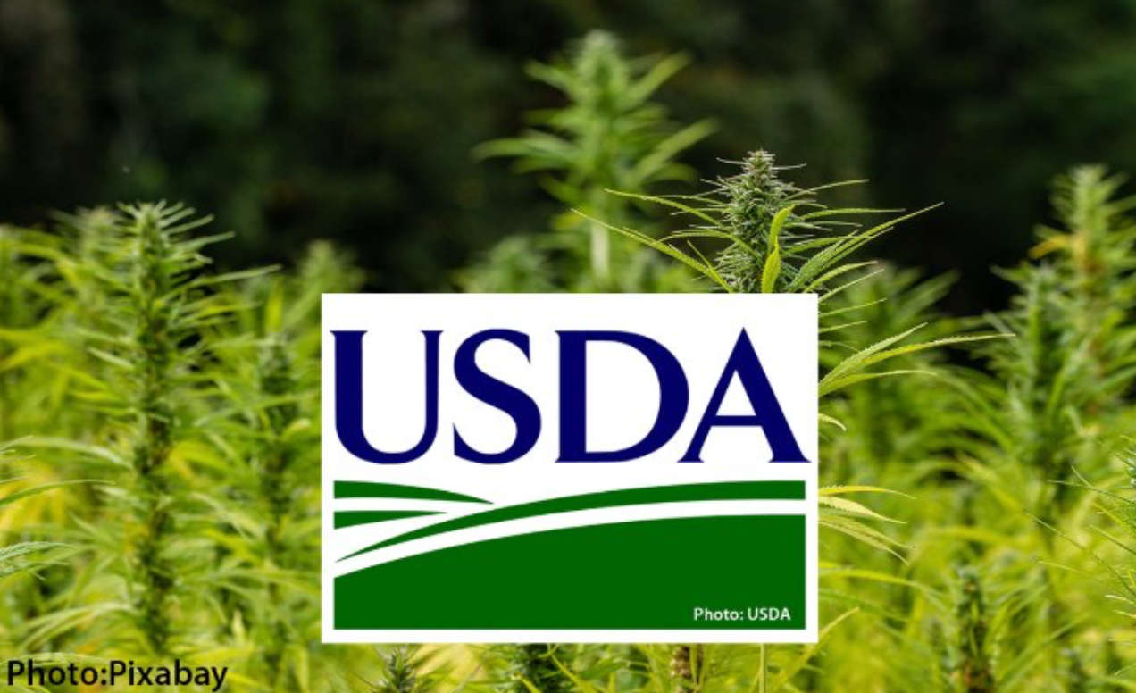 usda-nov-2019.png