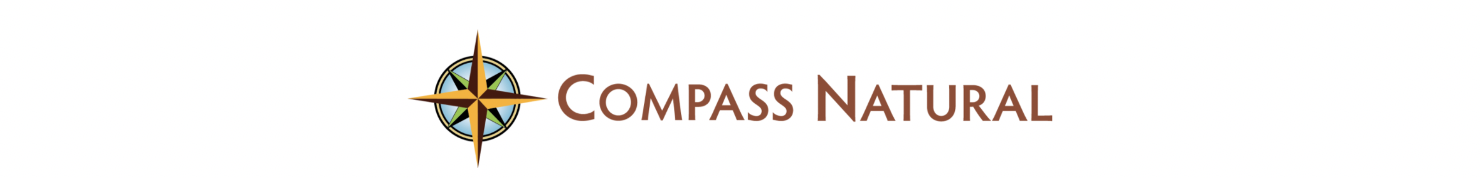 Screen Shot 2020-10-13 at 12.14.42 PM.png