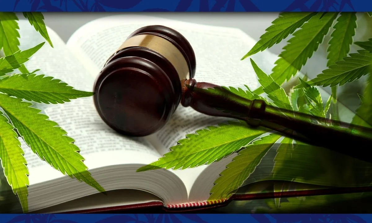 Maine Congresswoman Chellie Pingree Introduces Hemp Advancement Act of 2022 to “Unburden the Hemp Industry”