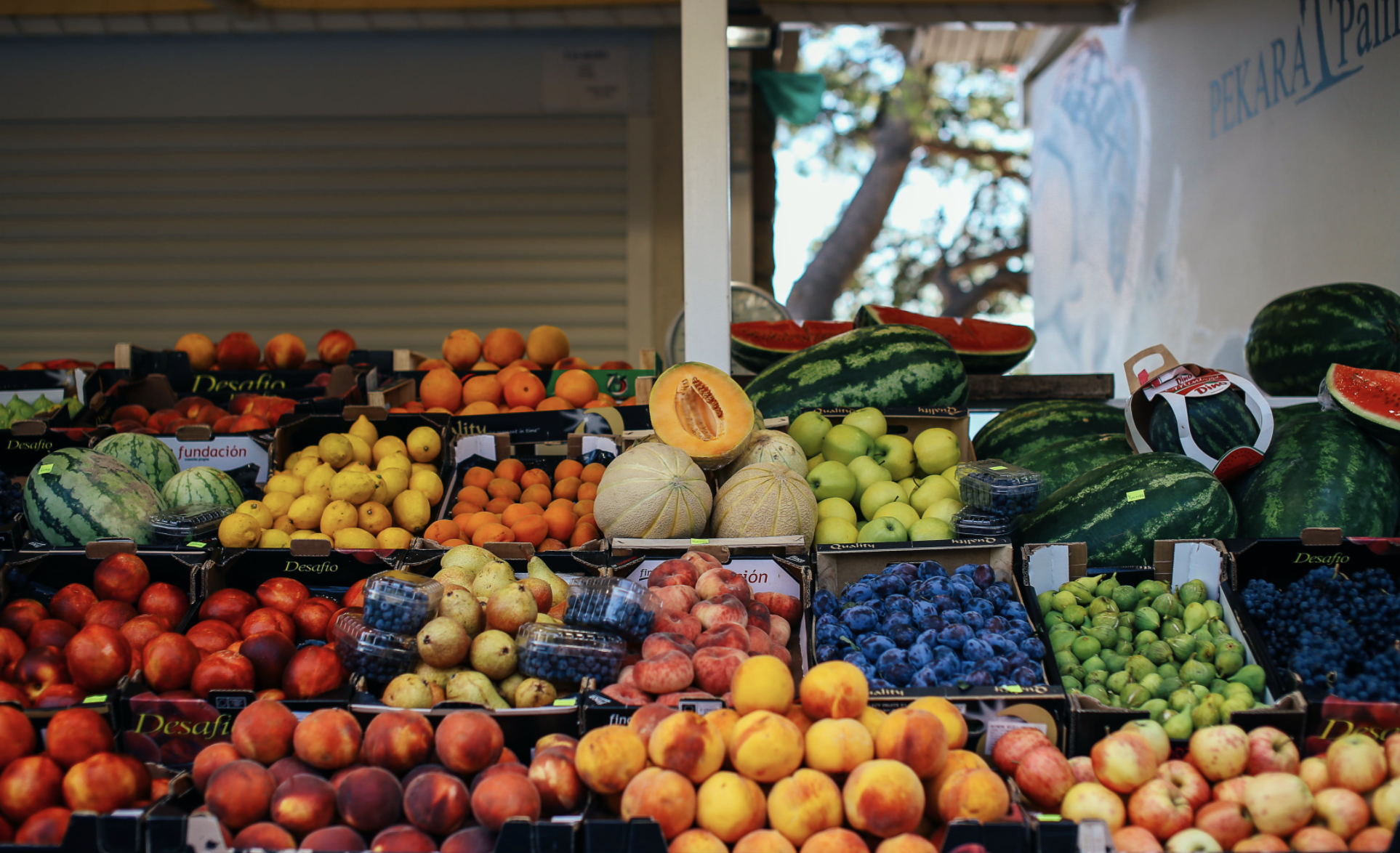 USDA Renames GMOs as “Bioengineered” or “BE” Foods as New National Labeling Rules Take Effect