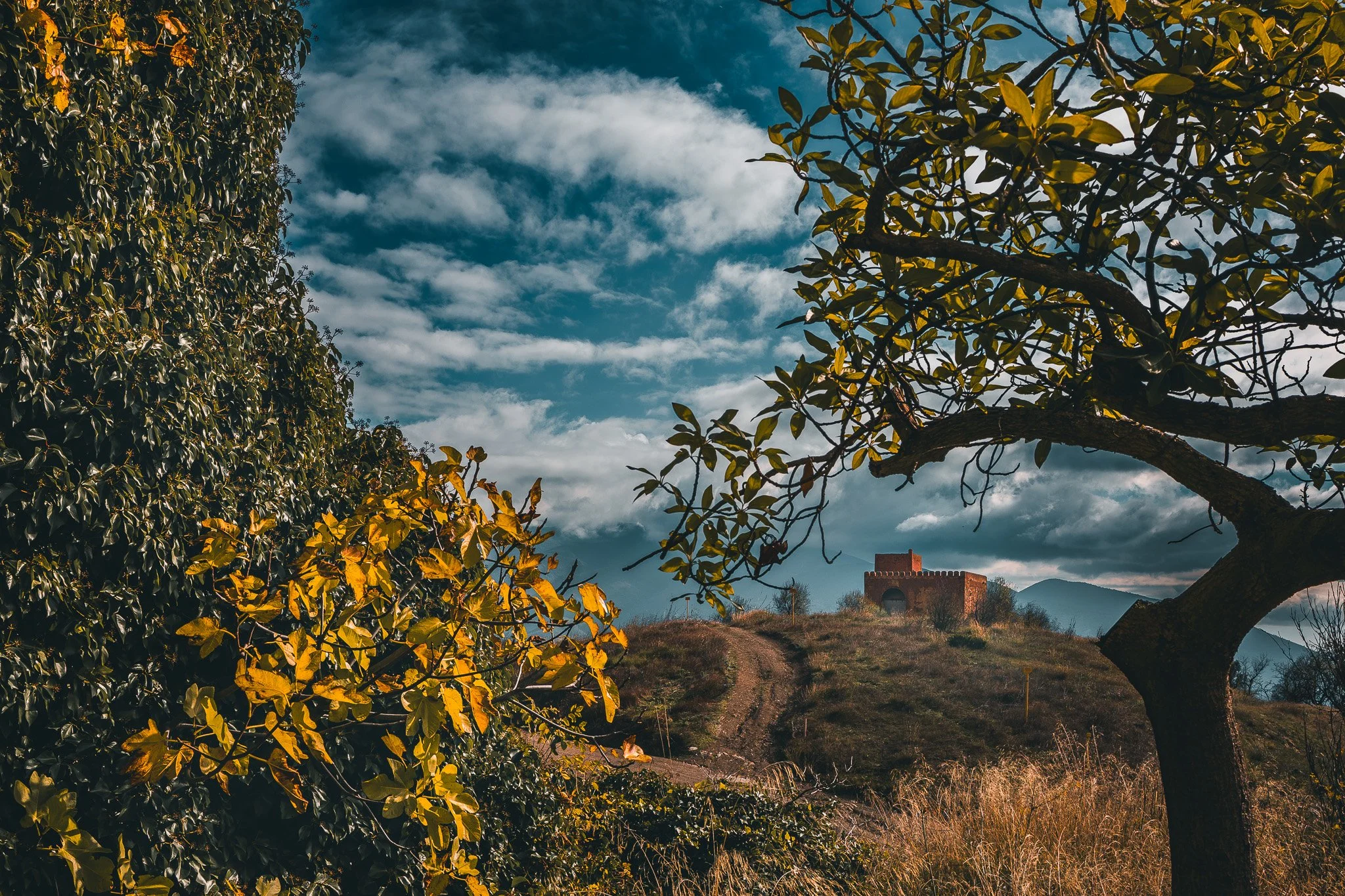 Torre de la Cebada- Granada.
