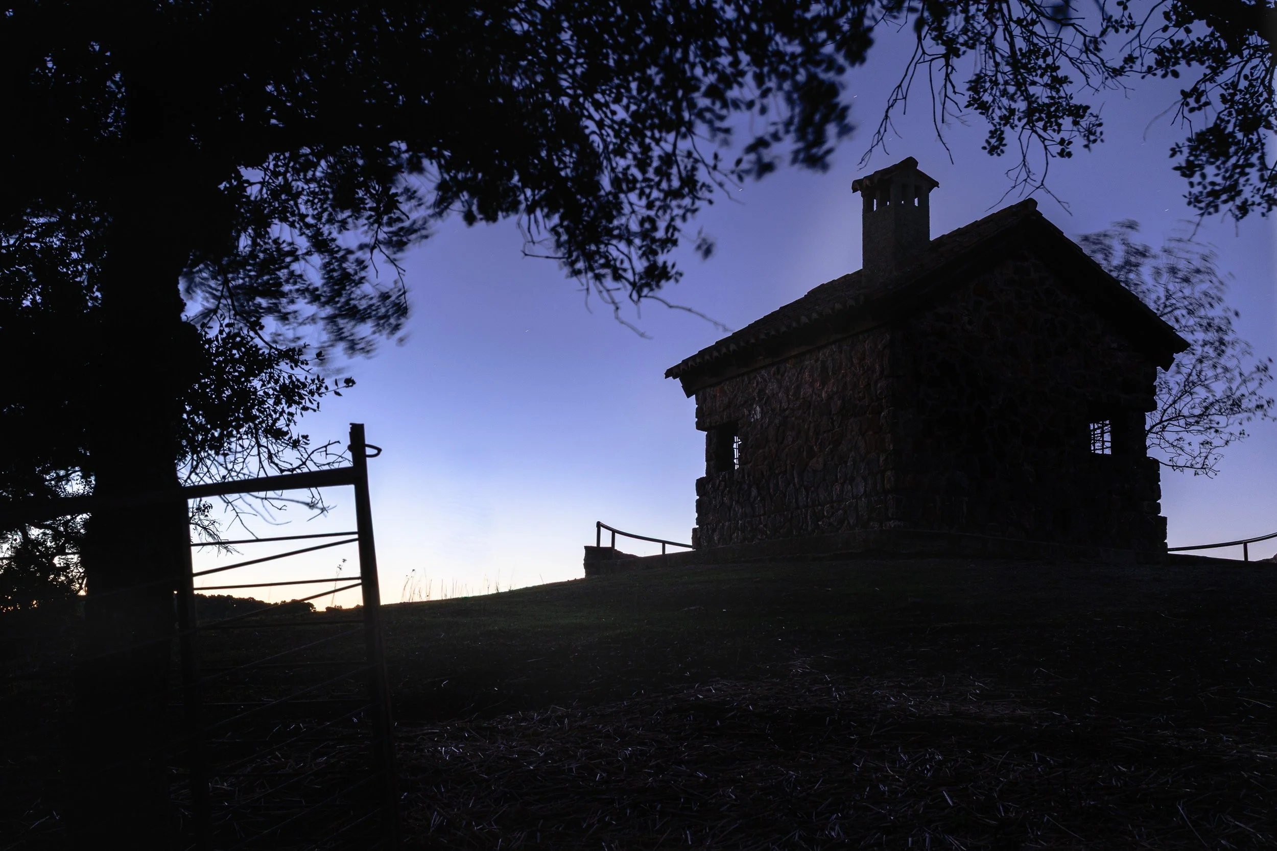 Barry James FotoLandsc ape-02.jpg