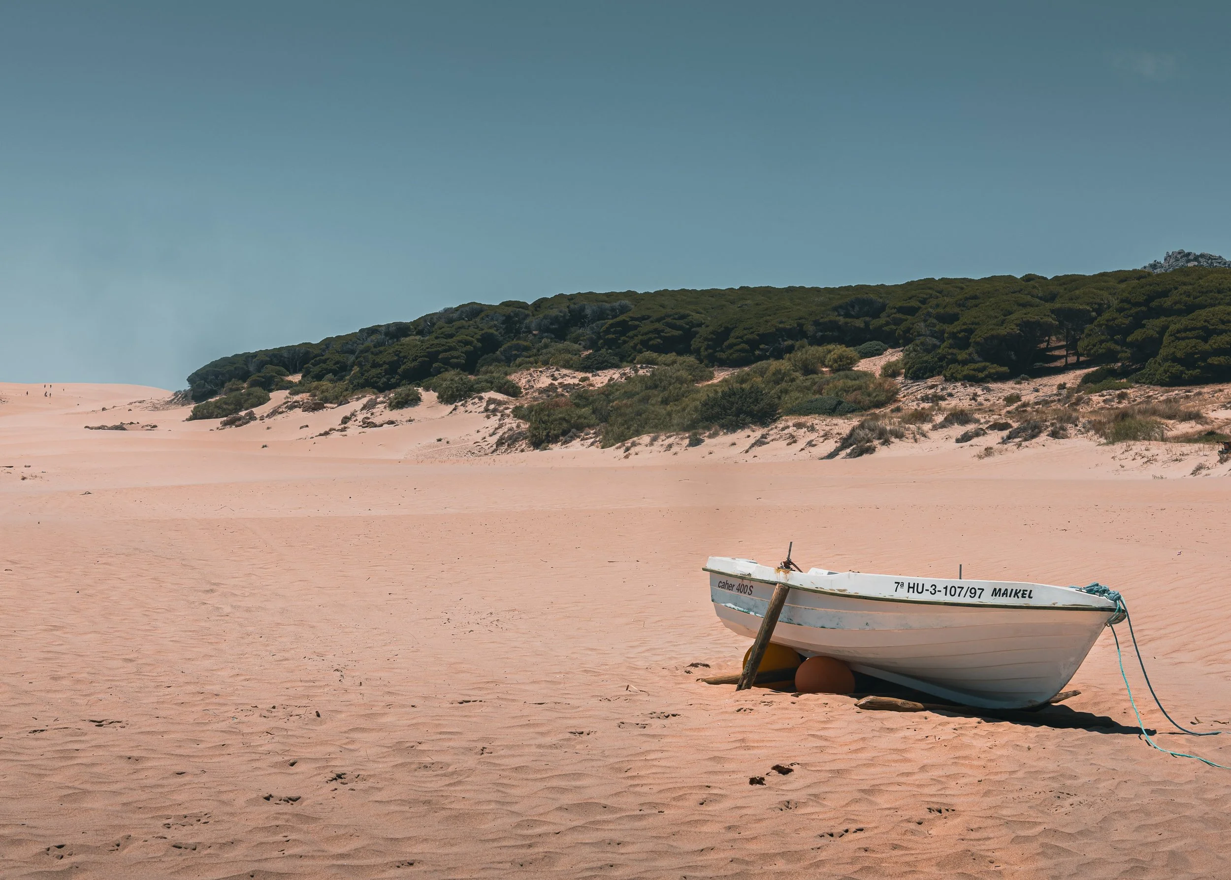 Barry James Foto_Bolonia-01.jpg