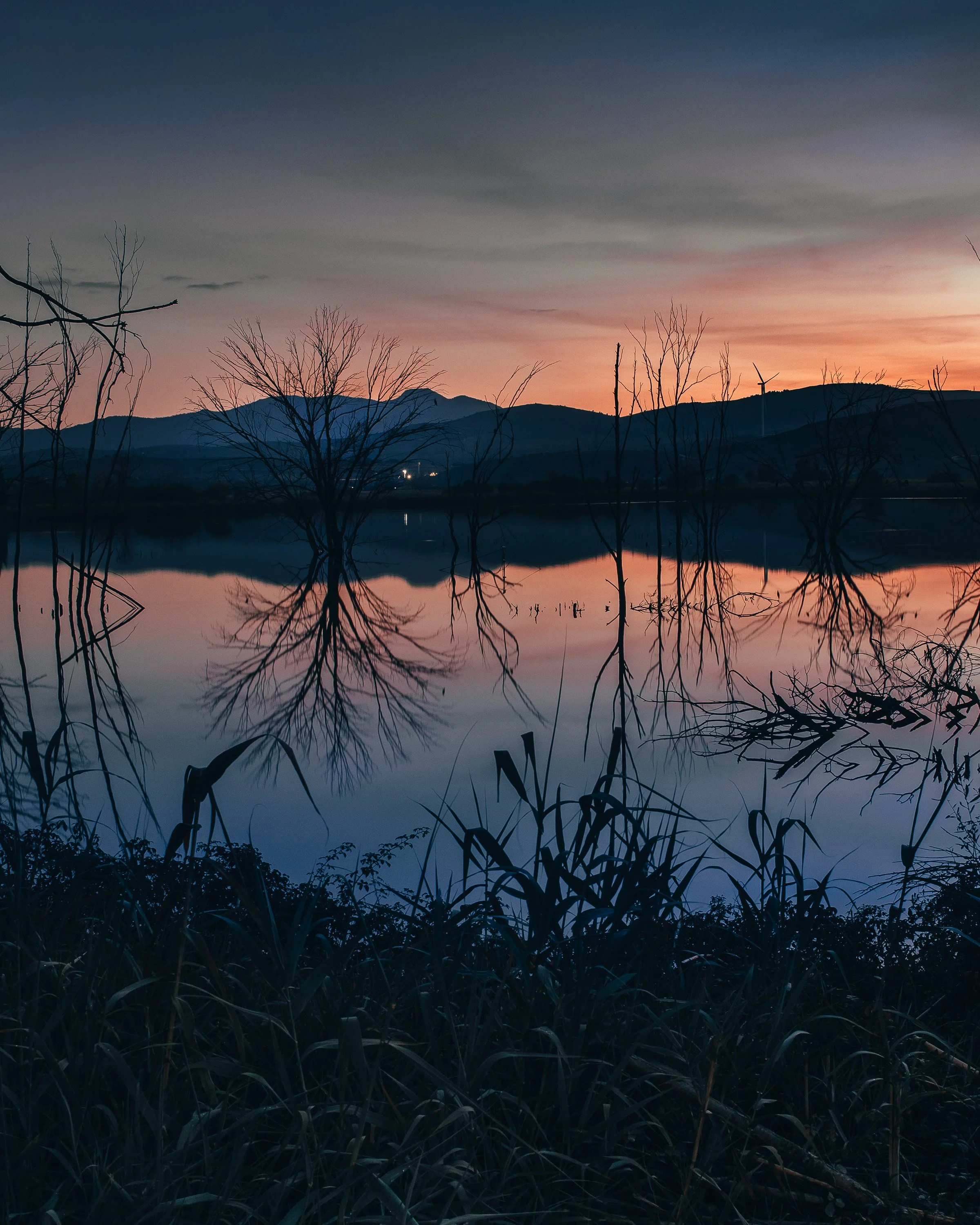 Barry James FotoLandsc ape-06.jpg