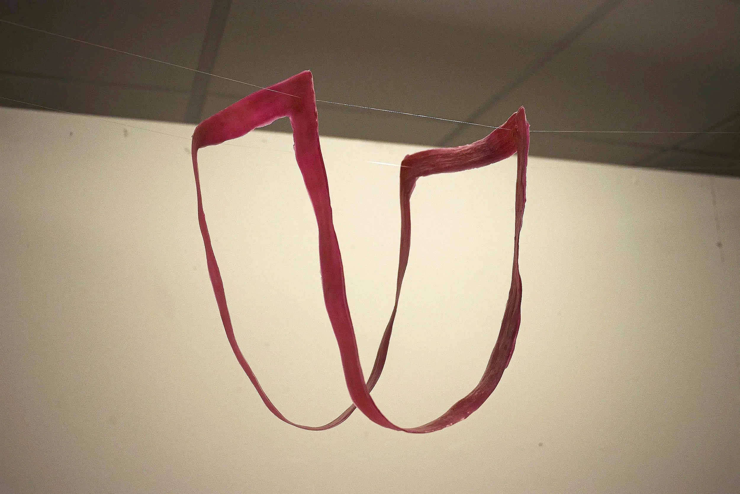 Form Exploration Series
