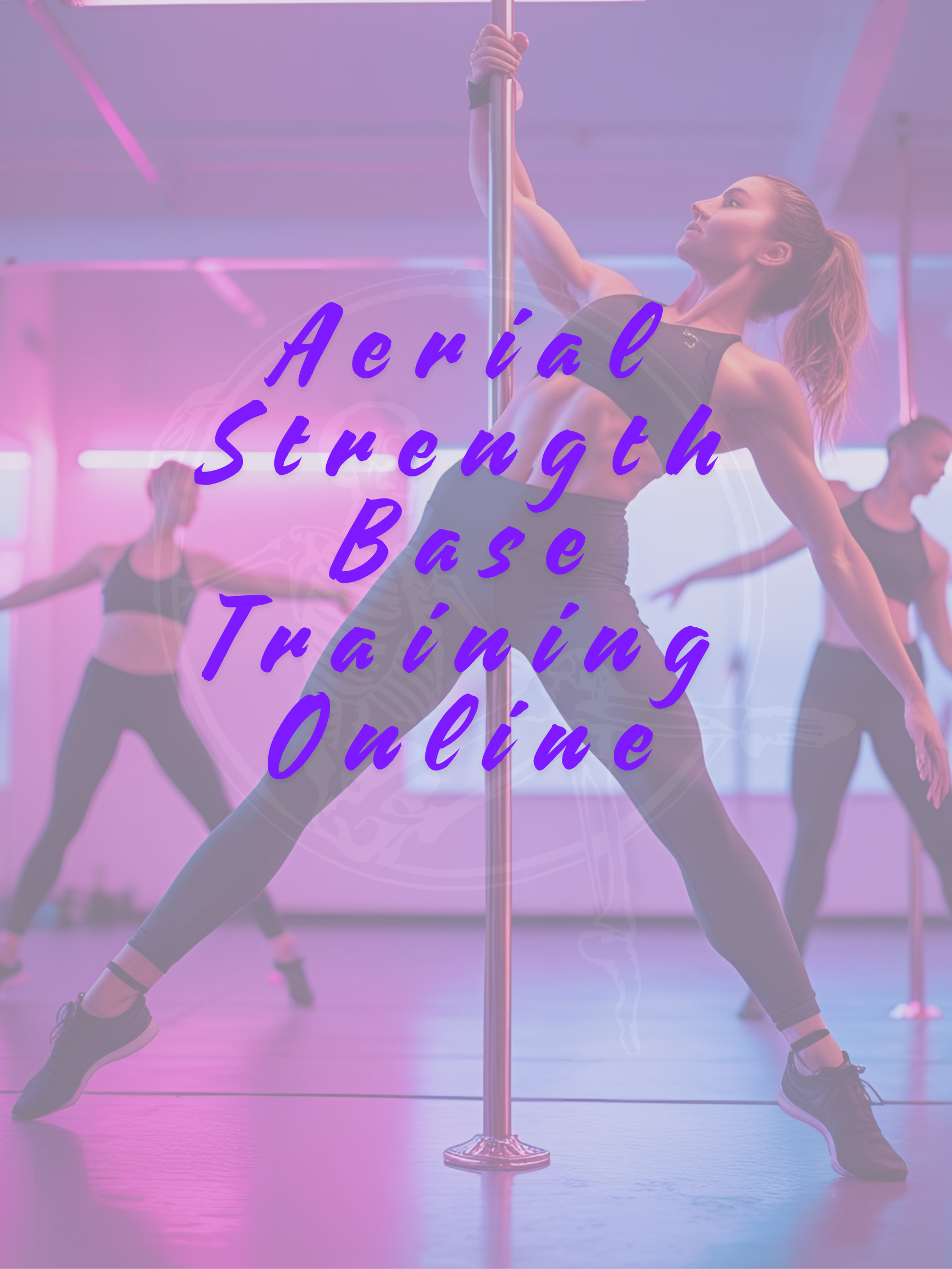 Self-Paced Aerial Base: Strength Training (Online Only)
