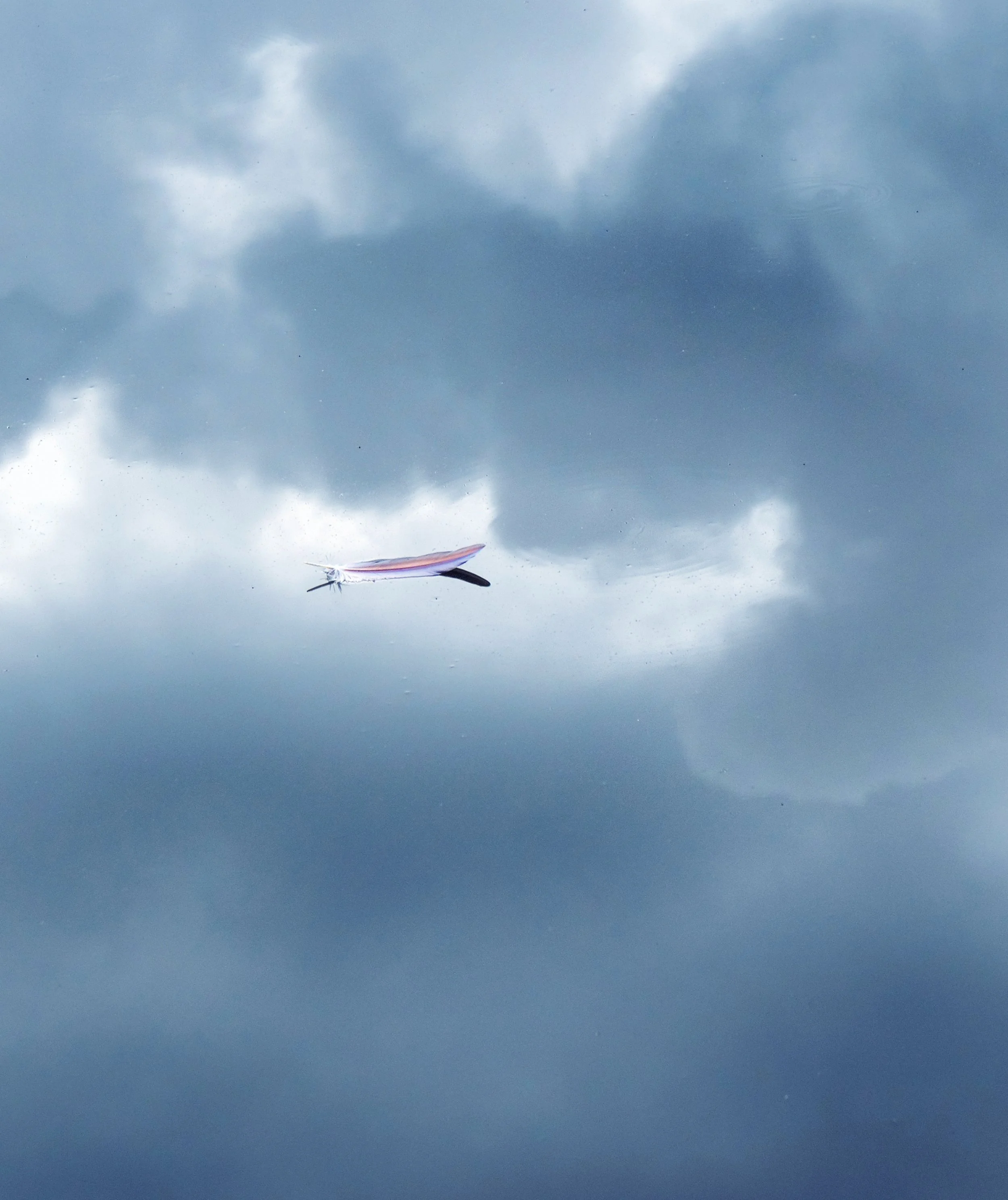 Floating Feather.jpg