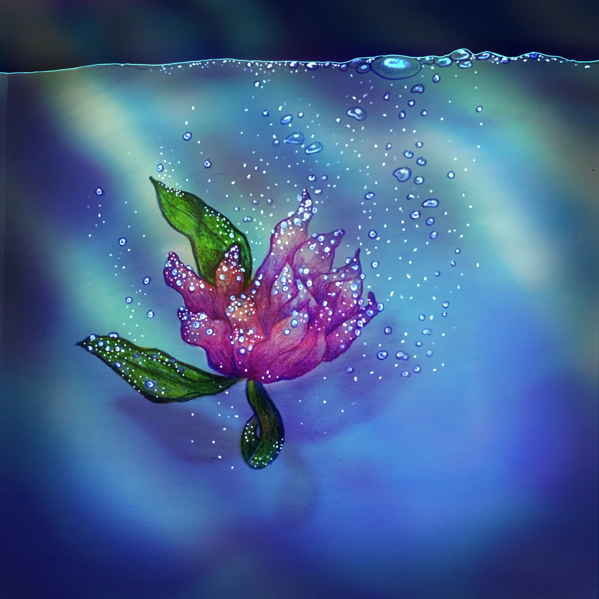 Underwater Flower Hand-Drawn Animation by Charlie Elizabeth