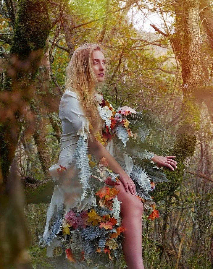 Fall Fairy Forest.JPG